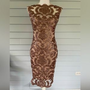 Size 4, Tadashi Shoji, Sequin Embroidered Mauve Hued Dress